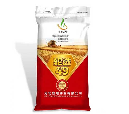 轮选49
